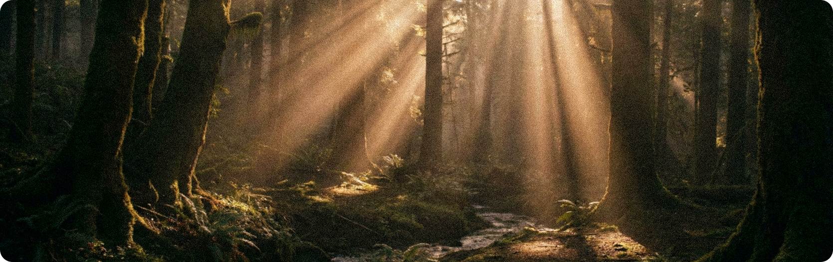 Data platform preview